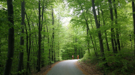 image09