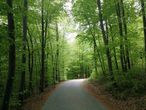 image09